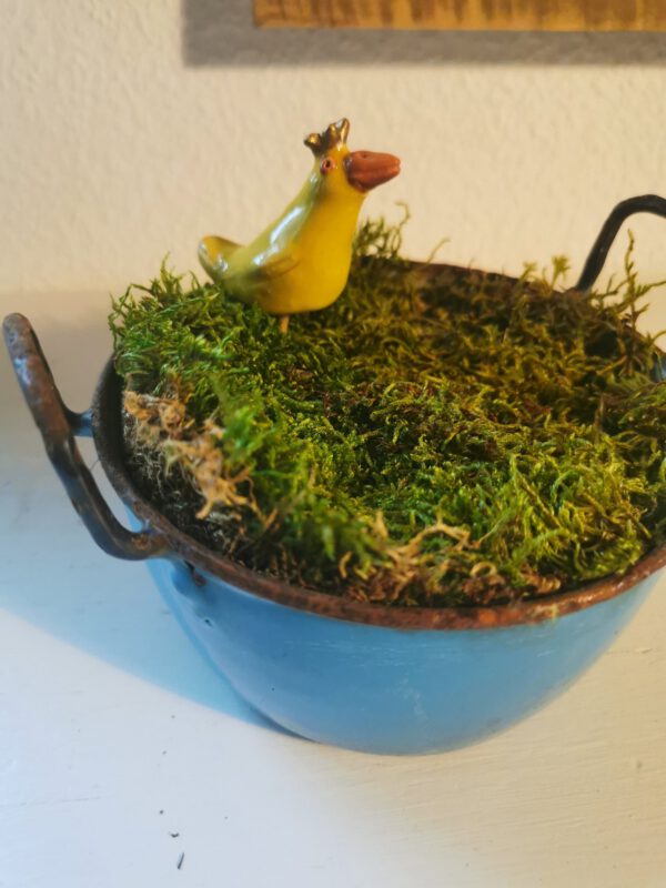 Gekrönte Ente – Bild 3