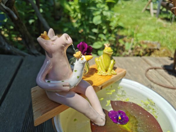 Schwimmring Schwein