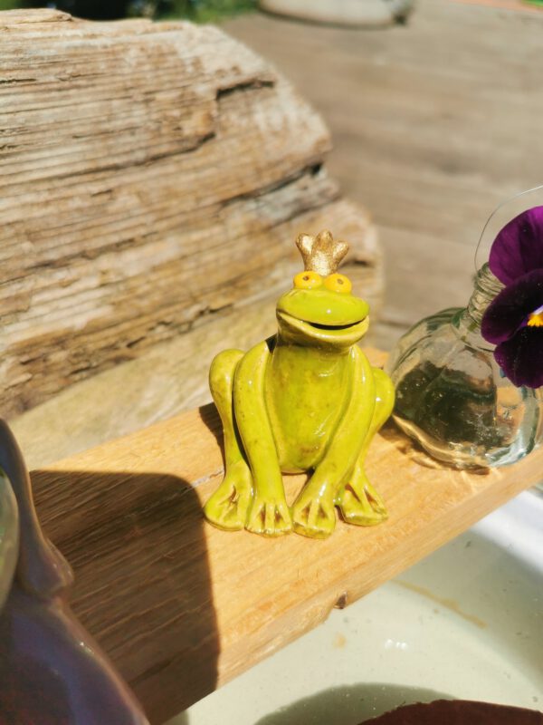 Froschkönig – Bild 3