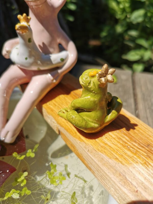 Froschkönig – Bild 2