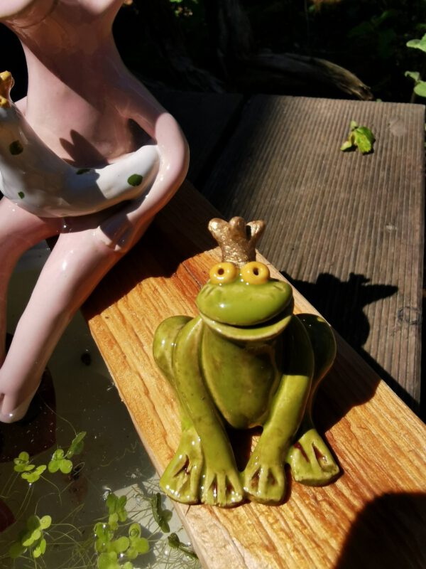 Froschkönig – Bild 4
