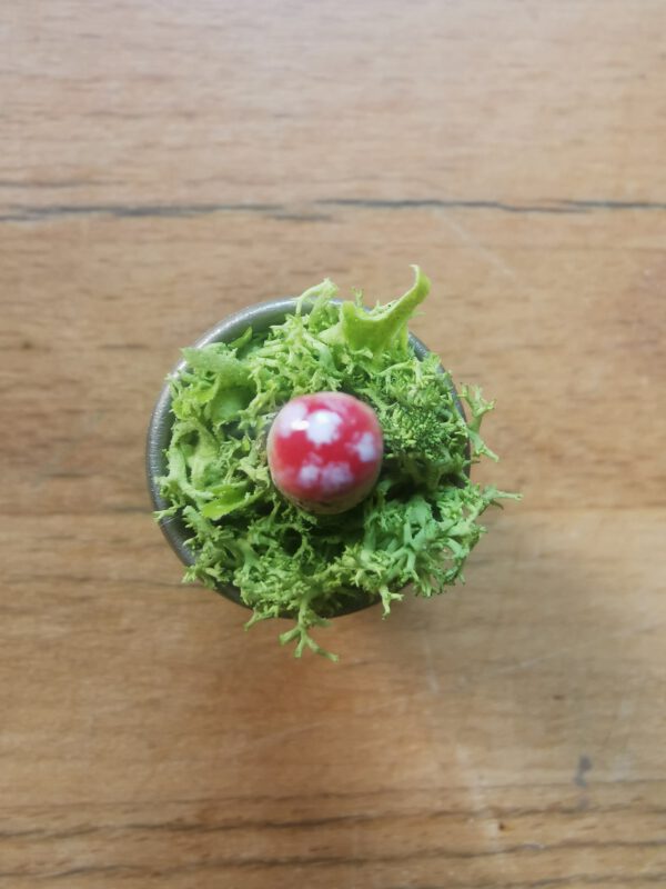 Glücksbringer – Bild 2
