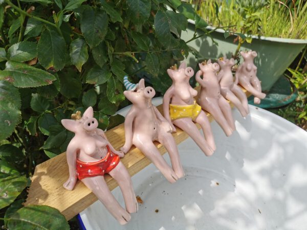 Ringelmützen Schwein