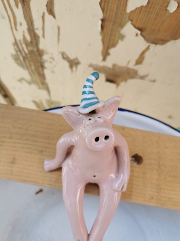 Ringelmützen Schwein – Bild 5