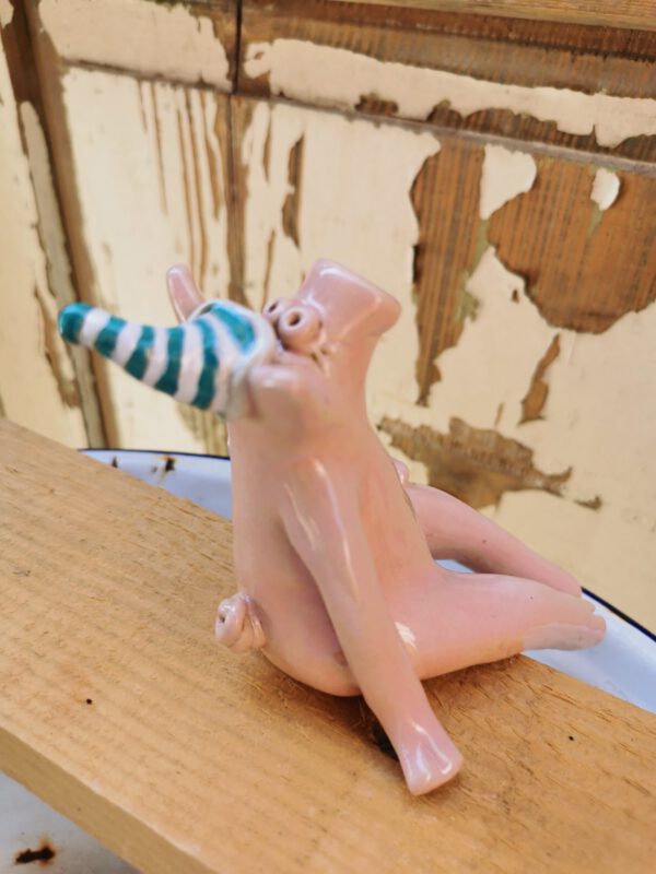 Ringelmützen Schwein – Bild 3