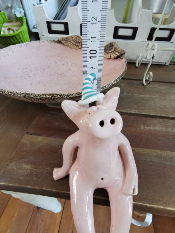 Ringelmützen Schwein – Bild 6