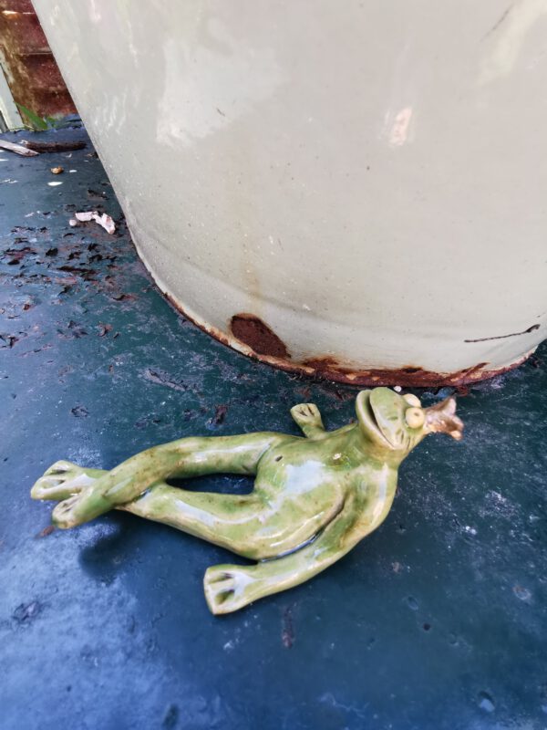 chilliger Frosch – Bild 4