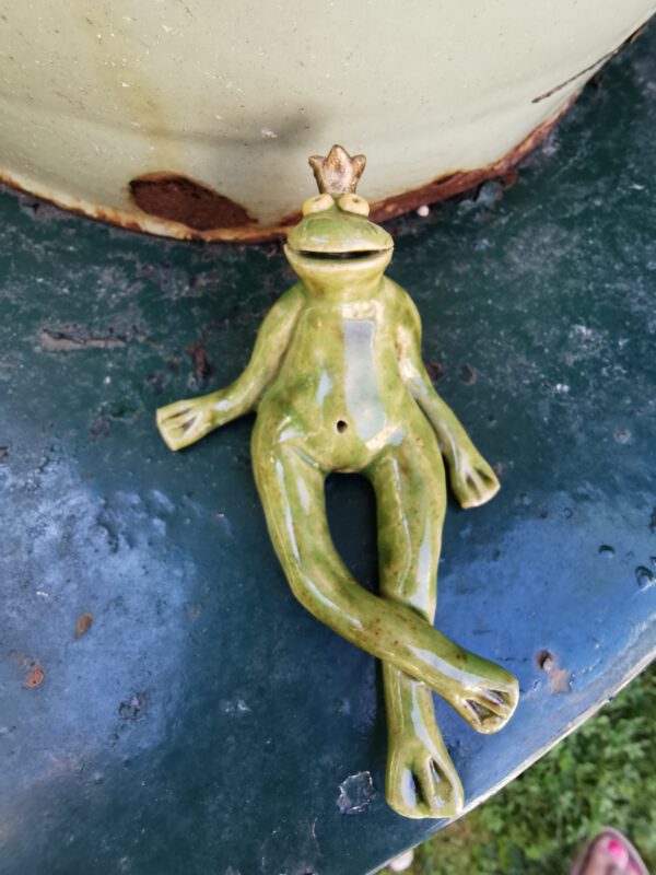 chilliger Frosch – Bild 3