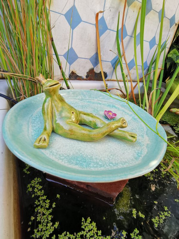 chilliger Frosch
