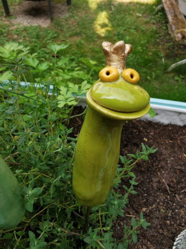 Steckfroschkönig – Bild 2