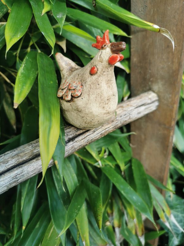 Huhn – Bild 3