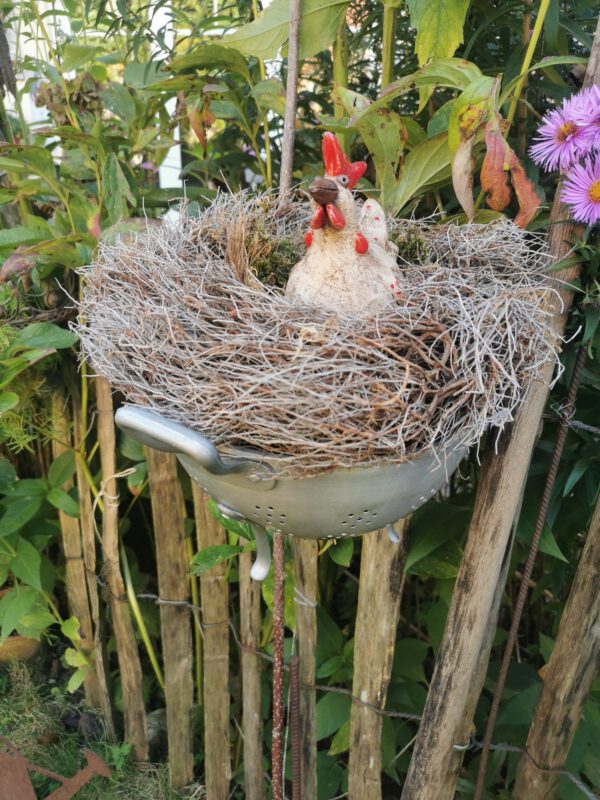getöpfertes Huhn – Bild 2