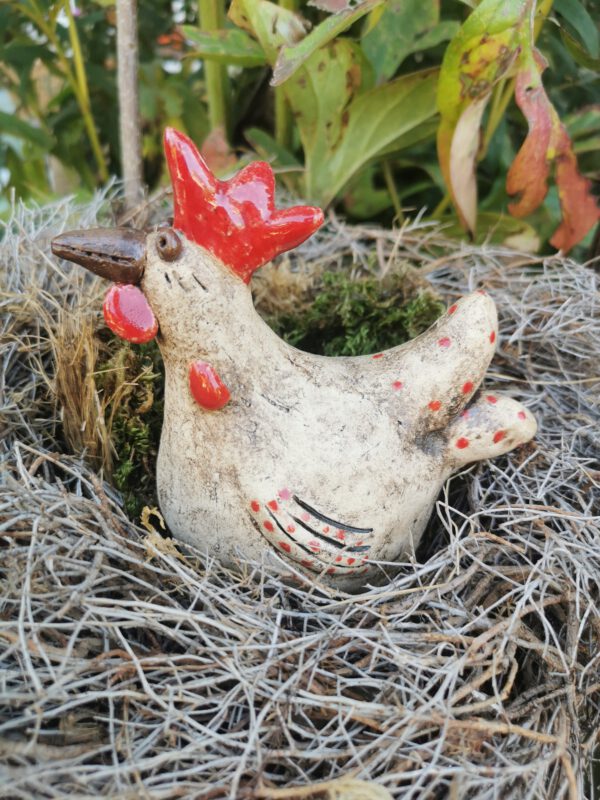 getöpfertes Huhn – Bild 3