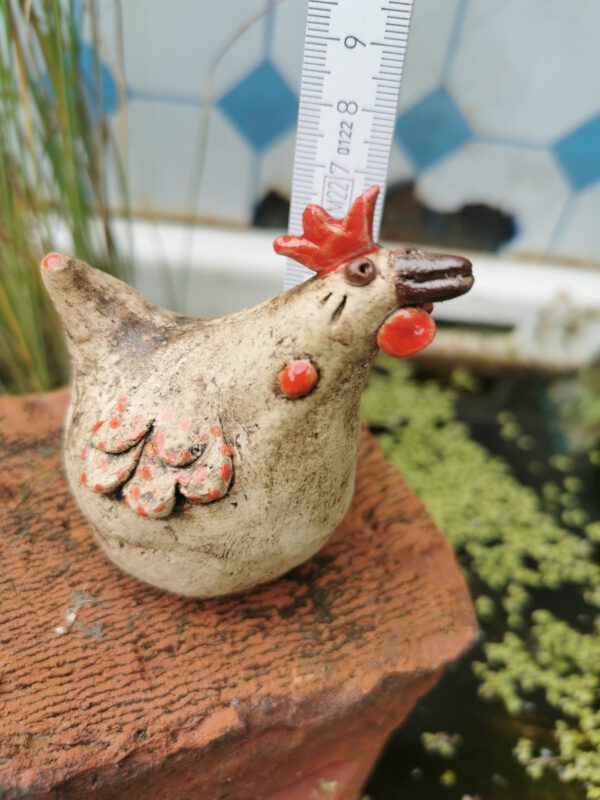 Huhn – Bild 6