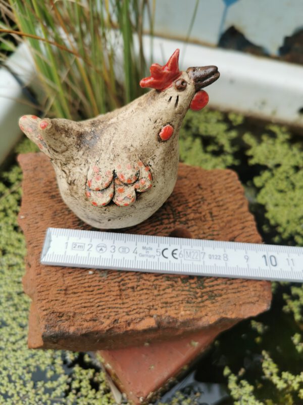 Huhn – Bild 7