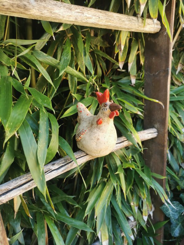 getöpfertes Huhn – Bild 7