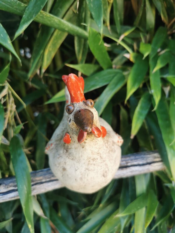 getöpfertes Huhn – Bild 4