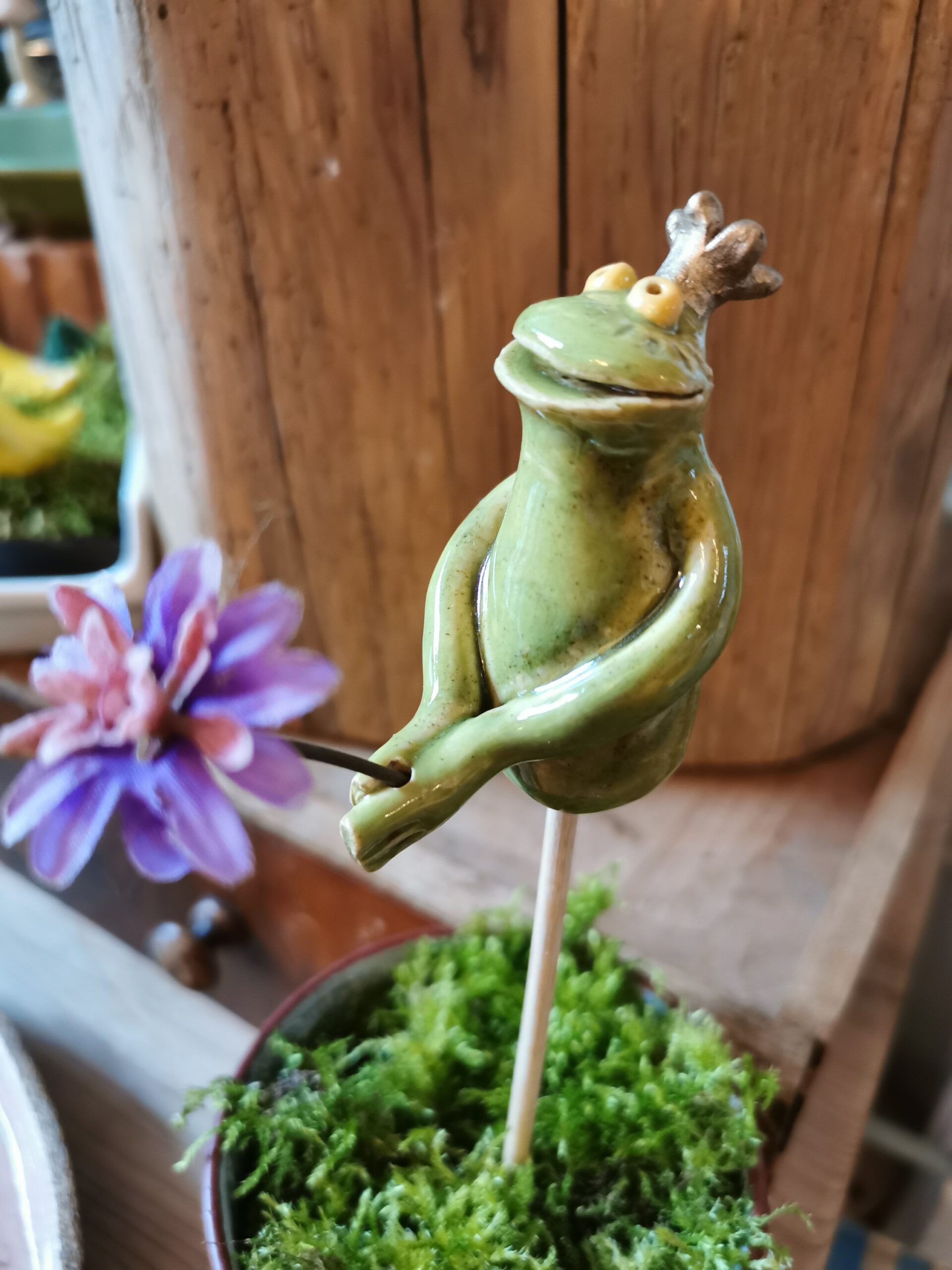 Froschkönig mit Blume – Bild 3